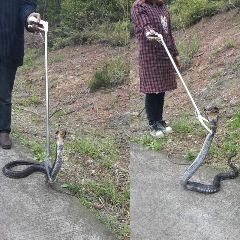 打蛇打七寸或三寸的说法哪个是对的图解 蛇被这样打就必死无疑了