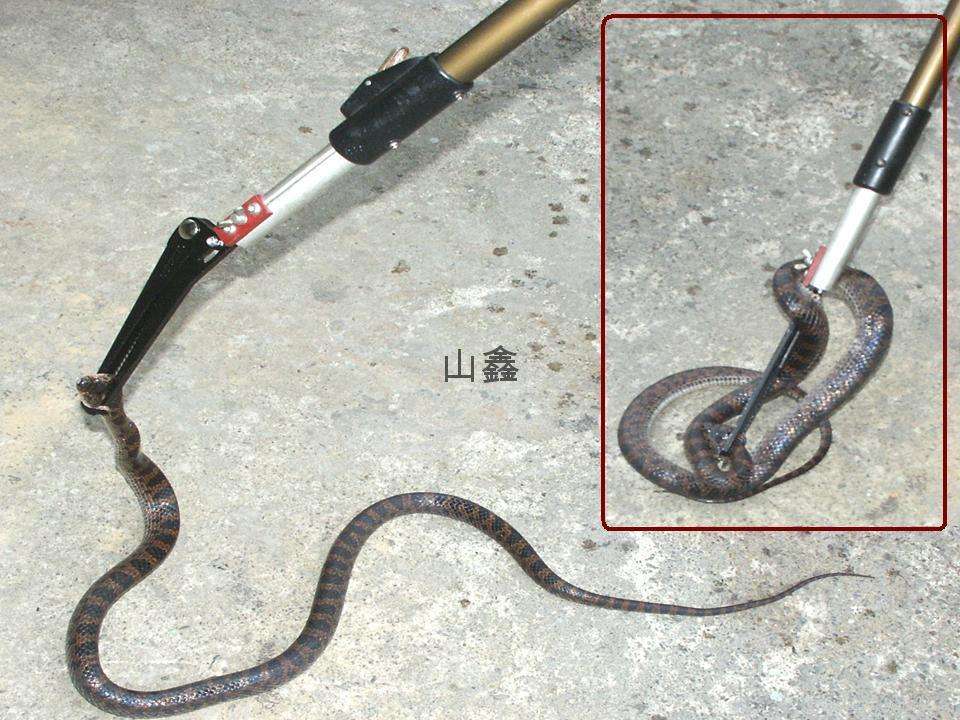 ���ߴ��ߴ�������˵���ĸ��ǶԵ�ͼ�� �߱�������ͱ���������