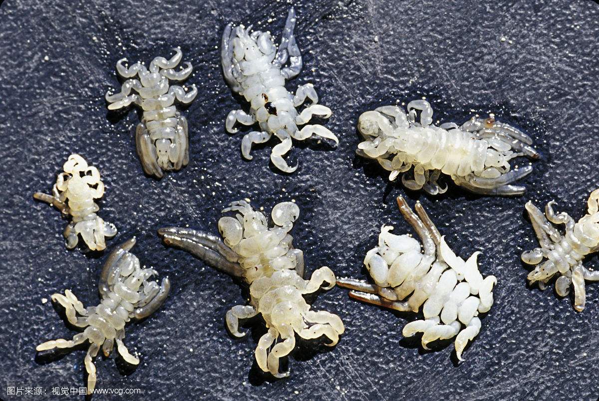 �������Ͼ�ʭ�ö����ܼ��־�֢������ ��ʭ�Ծ����к�����ô����