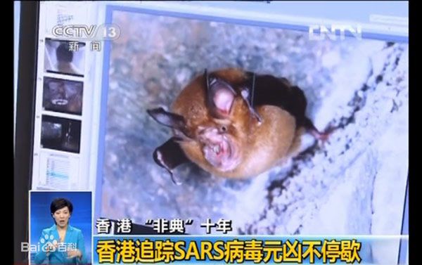 �л���ͷ����2003�ǵ��¼�Դͷ Ϊɶ�ö���Ҫ���л���ͷ��ķ��