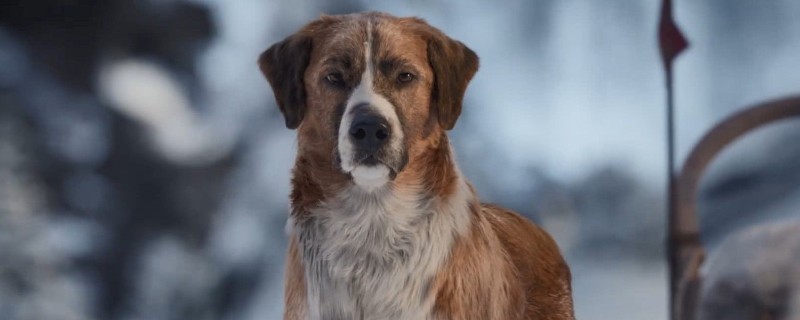 �Ϳ˹���ѩ����ʲô��Ӱ