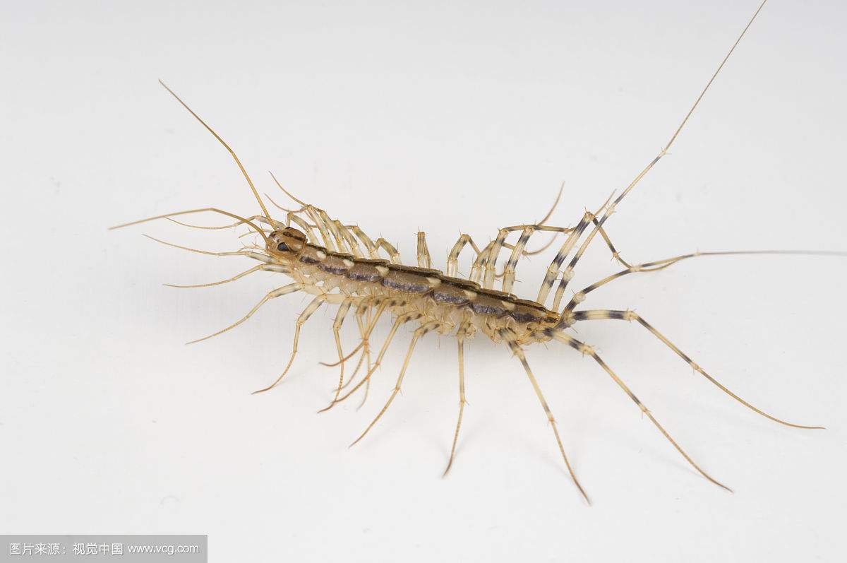 ����Ь���ӡ�����(y��u y��n)����̫������ �������˶������Լ���