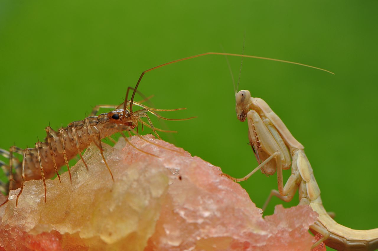 ����Ь���ӡ�����(y��u y��n)����̫������ �������˶������Լ���