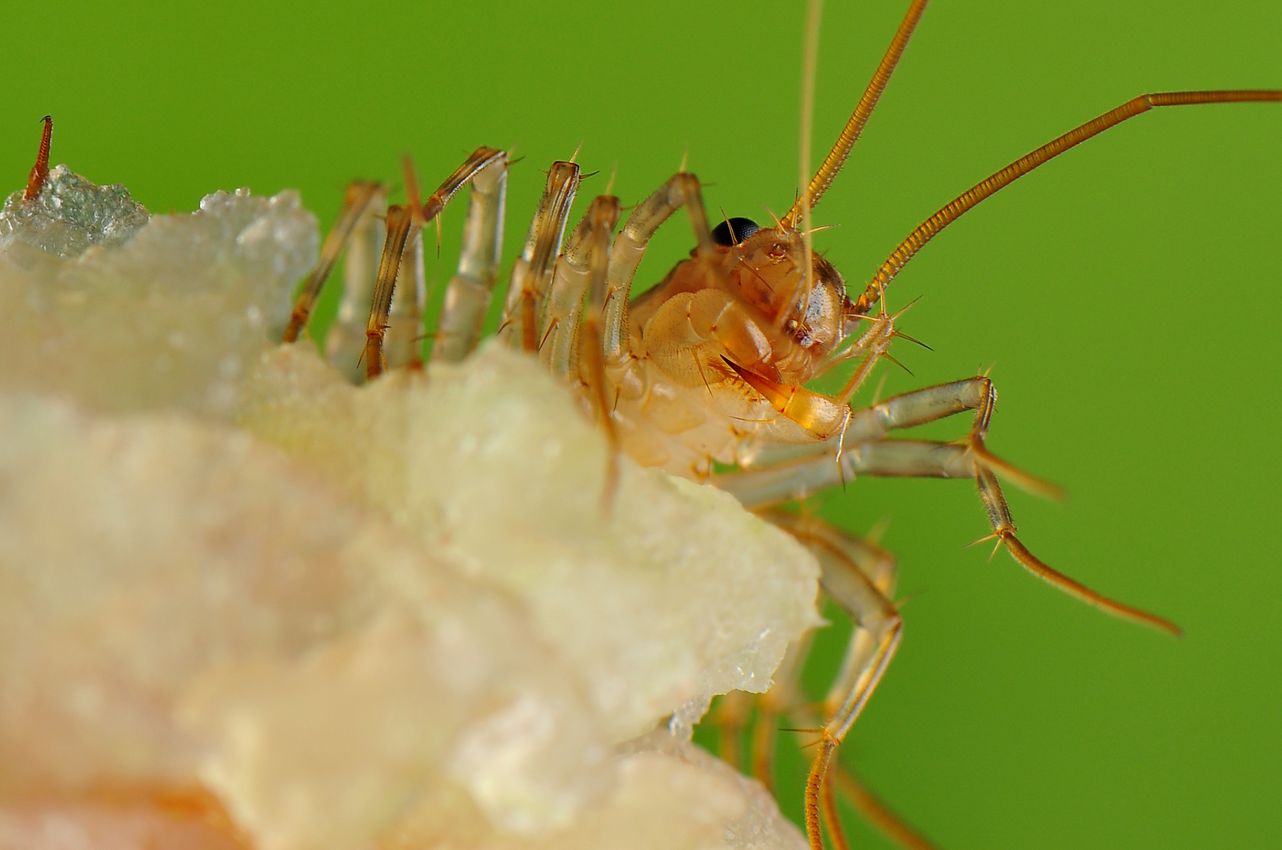 ����Ь���ӡ�����(y��u y��n)����̫������ �������˶������Լ���