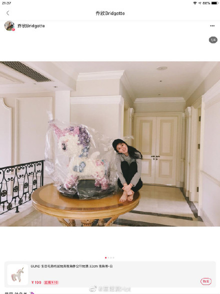 �����ĸ�ĸ��ҵһ��ͼ ������ĸ��ӵ��ҹ�˾���⹫˾��Ϣ�ع�