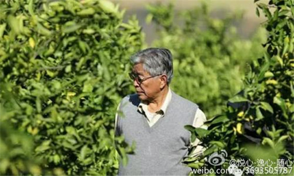 ��ʱ��Ů��Ϊʲô��ɱ���ľ���ͼƬ ��ʱ��Ů������������ʱ���