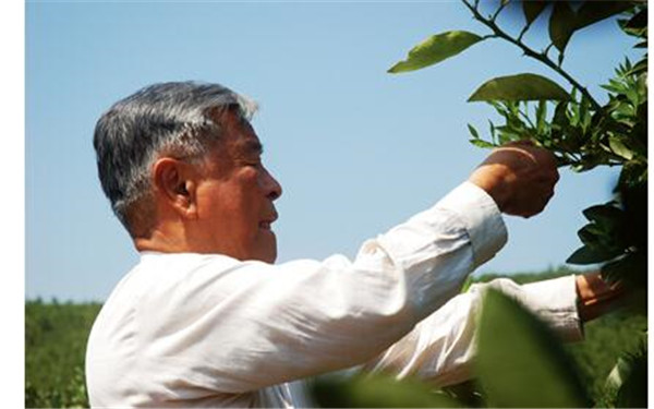 ��ʱ��Ů��Ϊʲô��ɱ���ľ���ͼƬ ��ʱ��Ů������������ʱ���