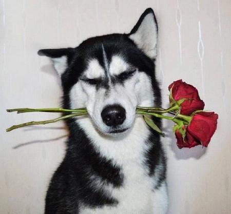 ��Щ��������ʹ�������ʲô��Ц �����ڼ����̲�סЦ��