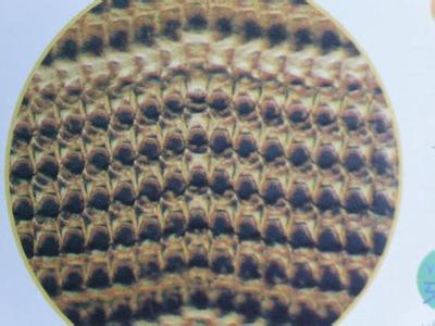 �������������Ķ���զ������ţ ���Ŀ�ǻ�Ŵ�ͼ������Ƥ����