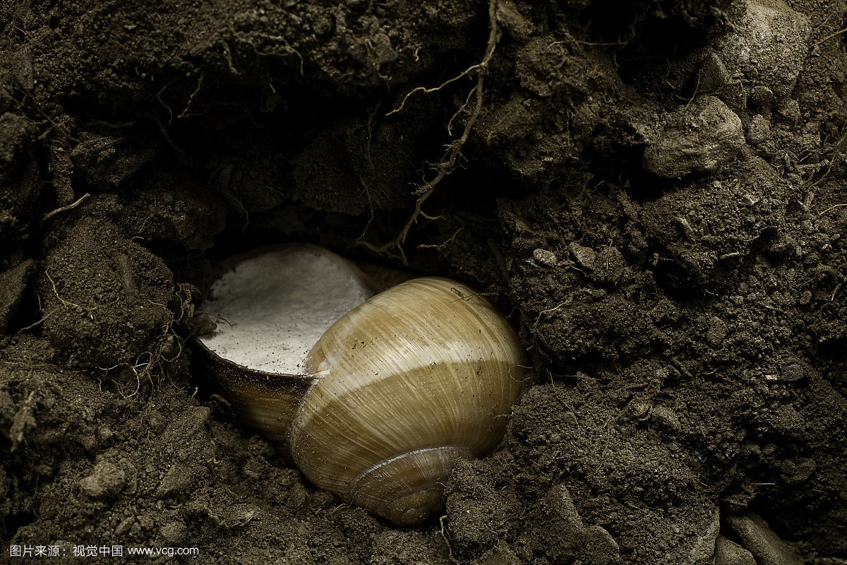 �������������Ķ���զ������ţ ���Ŀ�ǻ�Ŵ�ͼ������Ƥ����