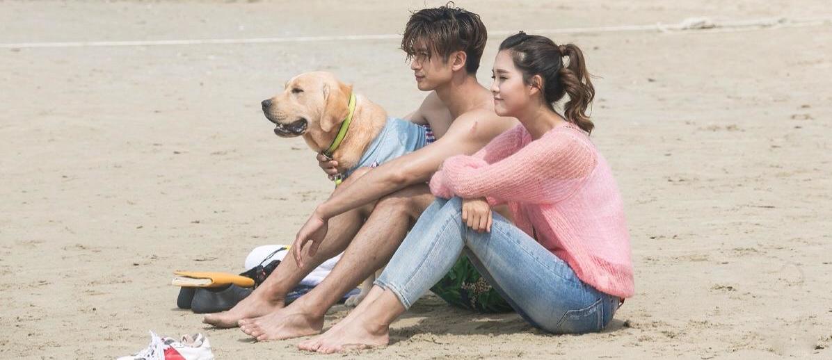 ��ȮС����������ʲô