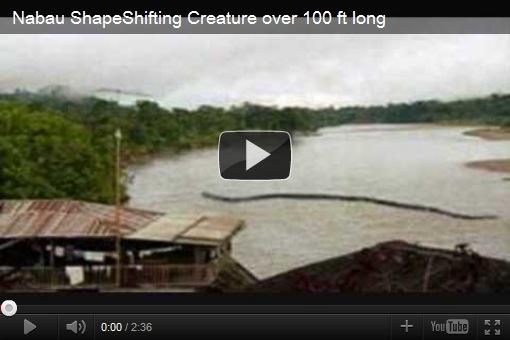 神秘巨蛇纳布nabau高清照片太恐怖了吧 真相意料之外但情理之中