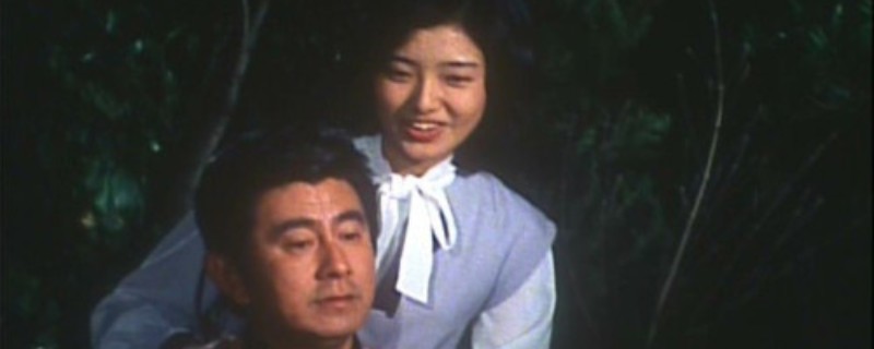 �ձ�Ѫ���������ʲô