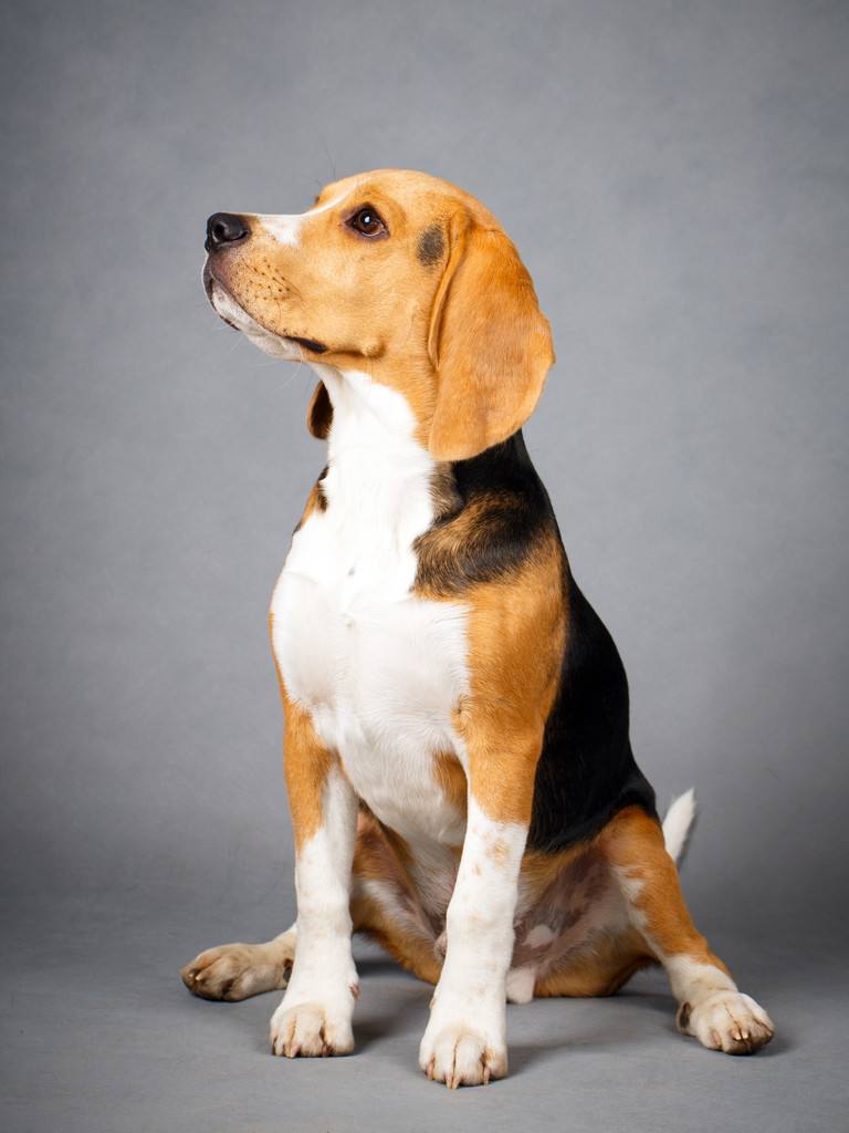 Ů���μ�����ʲôԤ���ܹ����� Ů���ε��ü�ֻ���ò���ʲô��˼