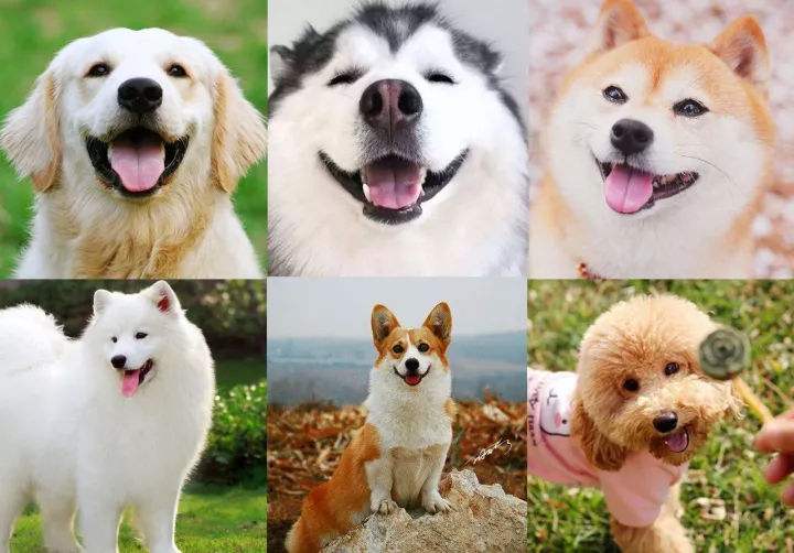 Ů���μ�����ʲôԤ���ܹ����� Ů���ε��ü�ֻ���ò���ʲô��˼