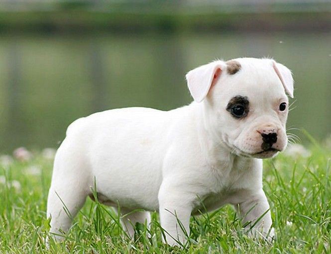 Ů���μ�����ʲôԤ���ܹ����� Ů���ε��ü�ֻ���ò���ʲô��˼