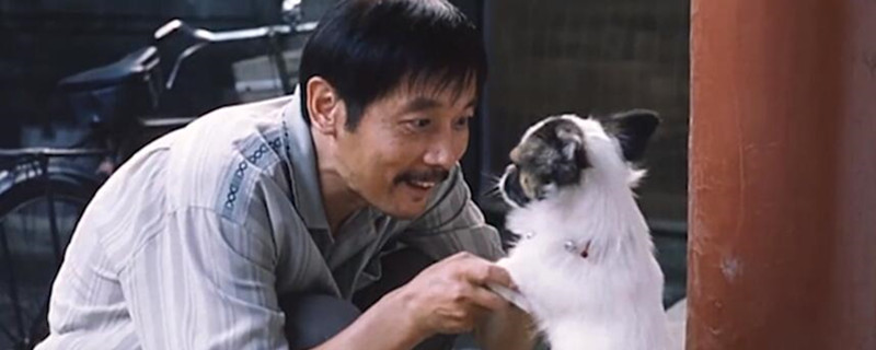 ���������������ʲô