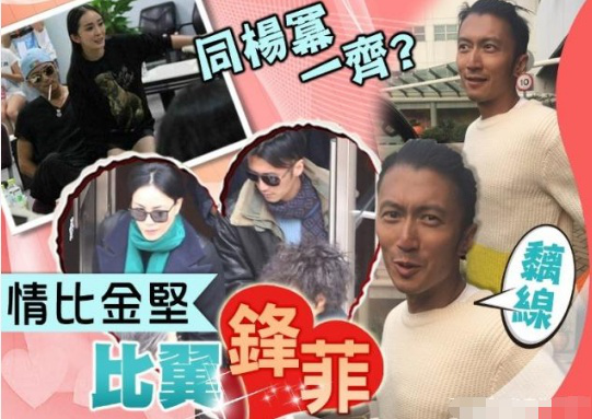 谢霆锋否认与杨幂恋情什么时候在一起过 谢霆锋杨幂天涯论坛八卦