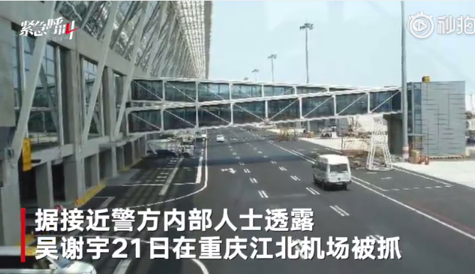 ��õ�����������л��Ϊʲôɱĸ ��л��ĸ����ǰ��Ƭ��ô����