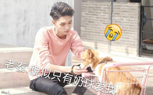 ������������Ϊʲô�������� ������Ϊʲôͣ��21��ԭ������