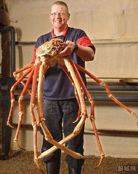 ����������з����ͺ�֩�볤�úï}��ͼ ���ǵ�����ô�Բźó�