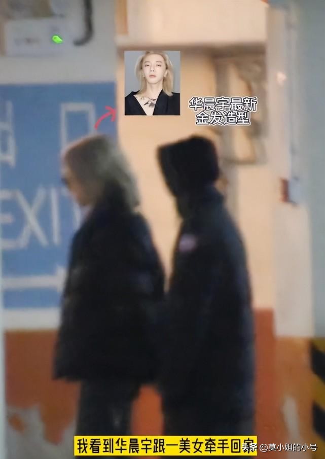 5个瓜 校园暴力 戴绿帽 否认代孕 都是大瓜