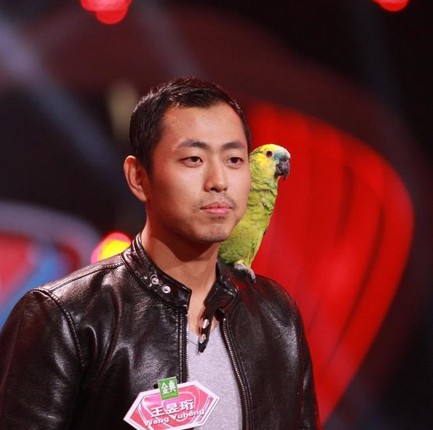 ��ǿ�������������������Ǽ� ������Ϊʲô���ͳ�ȽȽ�����Ƭ