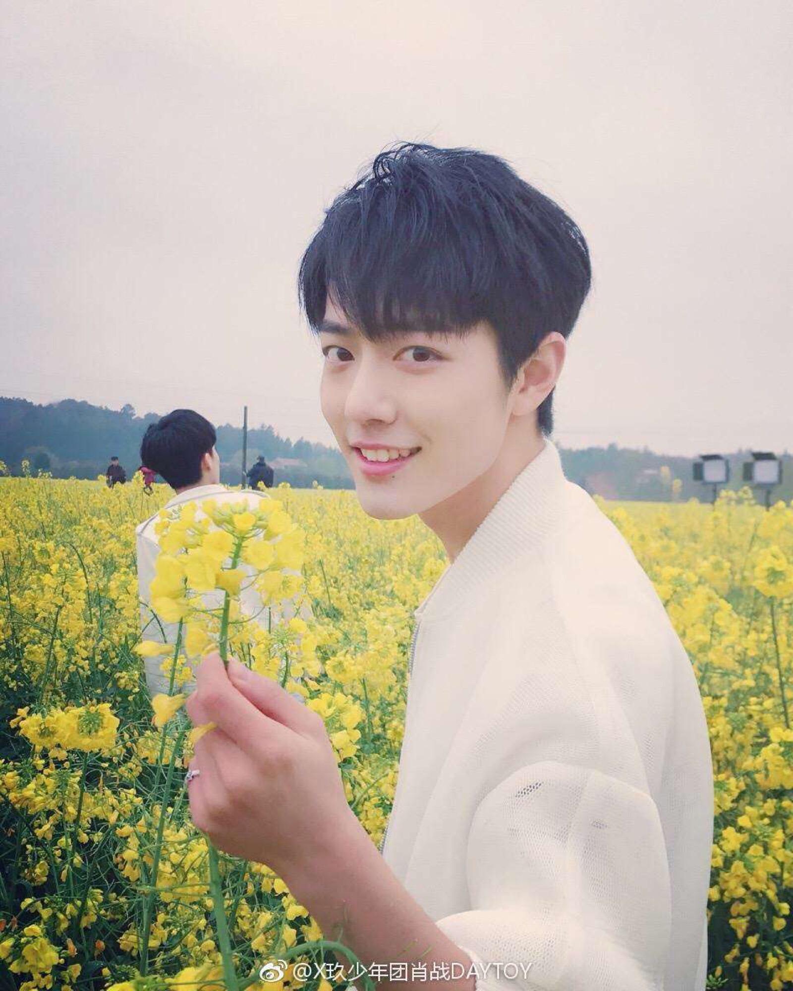 ΪʲôФս��daytoyʲô��˼ ФսΪʲôû�����������ݲ���ԭ��