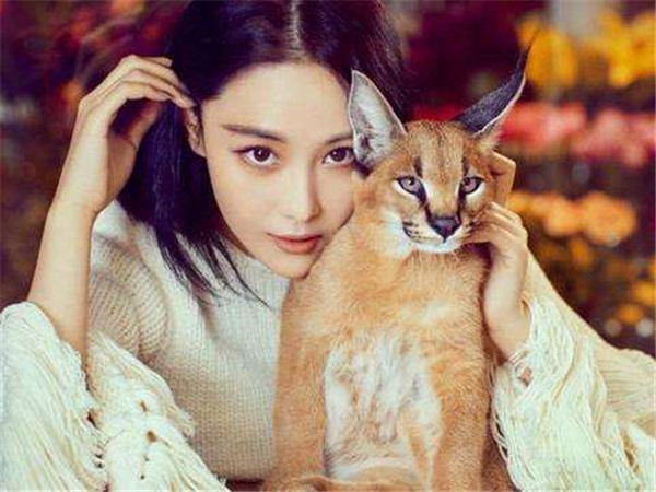 ��ܰ�軳�о޶���Ƭ�ع� ��Ȼ�Ⱥ����һ���ʱ���Ҹ�����