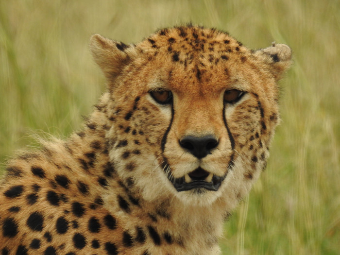 ɣ���Ͷ����ж�����������̫������ͼ ��������˲�Ȼ�������