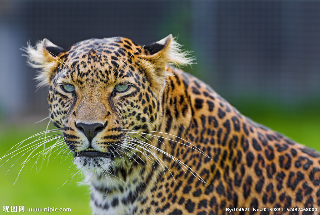 ɣ���Ͷ����ж�����������̫������ͼ ��������˲�Ȼ�������