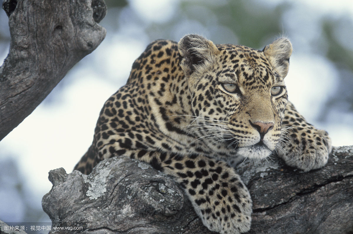 ɣ���Ͷ����ж�����������̫������ͼ ��������˲�Ȼ�������