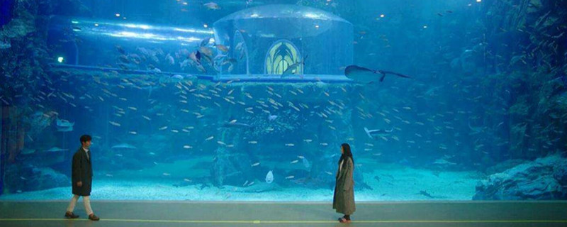 ȫ������������Ӿ��ʲô����