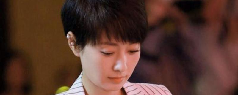 �����PΪʲô����˾��