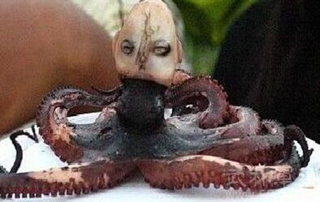 ӡ�������˺��������۾������ز� ���¹��󻹻ᷢ������Ӥ������