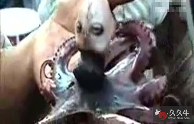 ӡ�������˺��������۾������ز� ���¹��󻹻ᷢ������Ӥ������