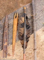 ��������������ѷ��������³ԭʼ����Ů�� ����ѷ����Ů��