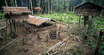 与世隔绝的亚马逊部和落秘鲁原始部落女性 亚马逊部落女人