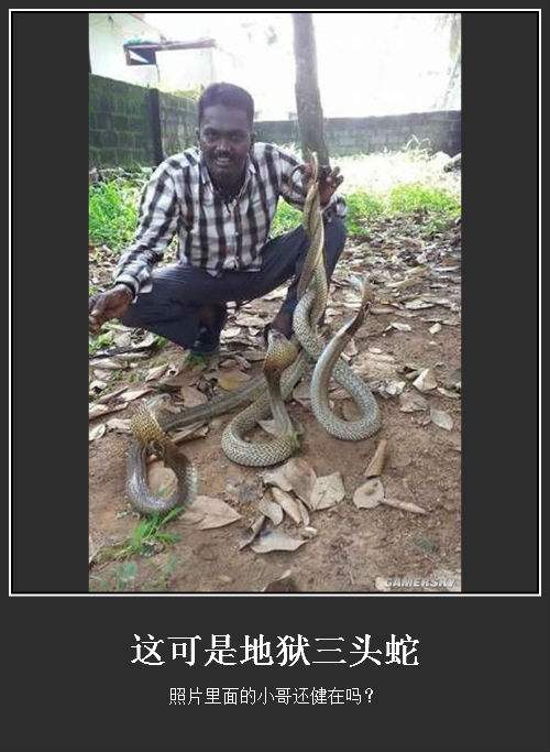 ��̨ɽ��ͷ��ͼƬ�������̫������ ������ͷ��ҪС����Ѫ��֮��