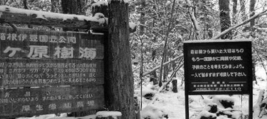 ��ľԭ����ʬ��ͼƬ�������������¼� ����������������������