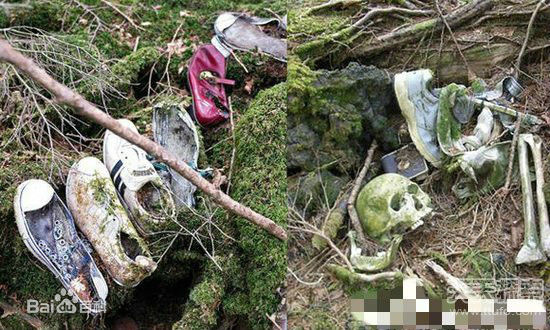 青木原树海尸骨图片亲身经历灵异事件 神秘索命吸引力真相大白了