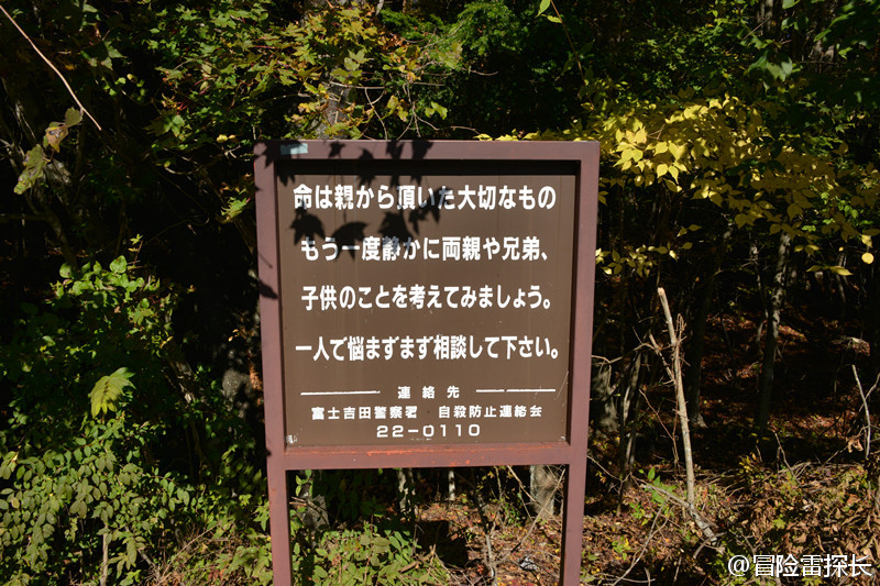 ��ľԭ����ʬ��ͼƬ�������������¼� ����������������������