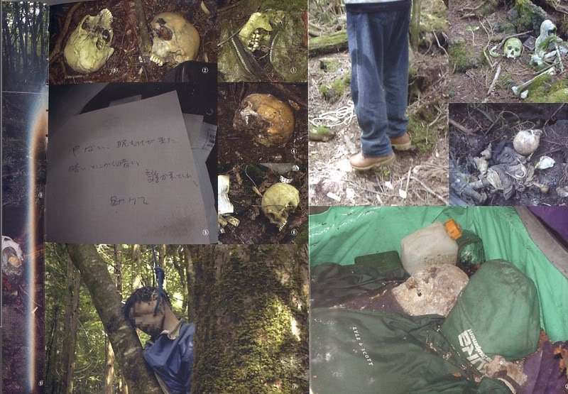 青木原树海尸骨图片亲身经历灵异事件 神秘索命吸引力真相大白了