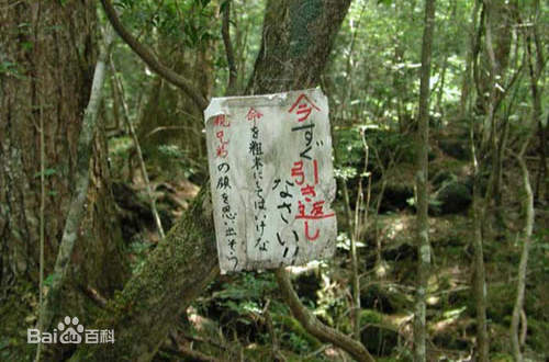 ��ľԭ����ʬ��ͼƬ�������������¼� ����������������������