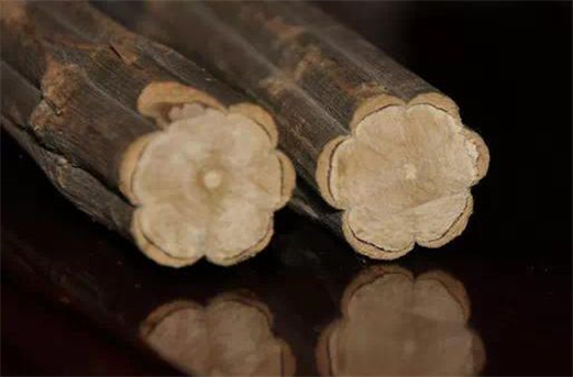 ����ľ������ľ��ô������а ������ǧ�꽵��ľͼƬ�������˳���