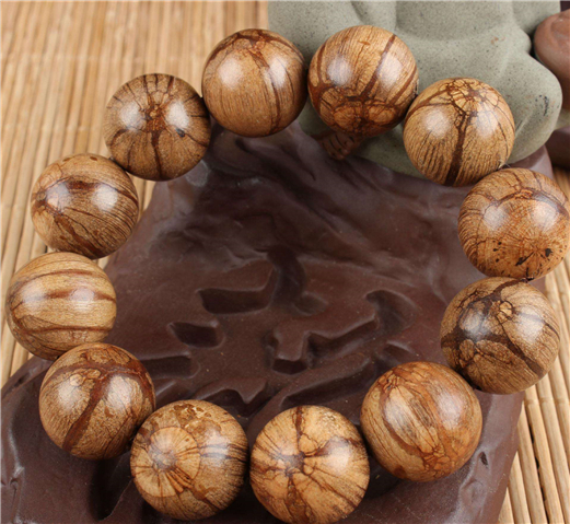 ����ľ������ľ��ô������а ������ǧ�꽵��ľͼƬ�������˳���