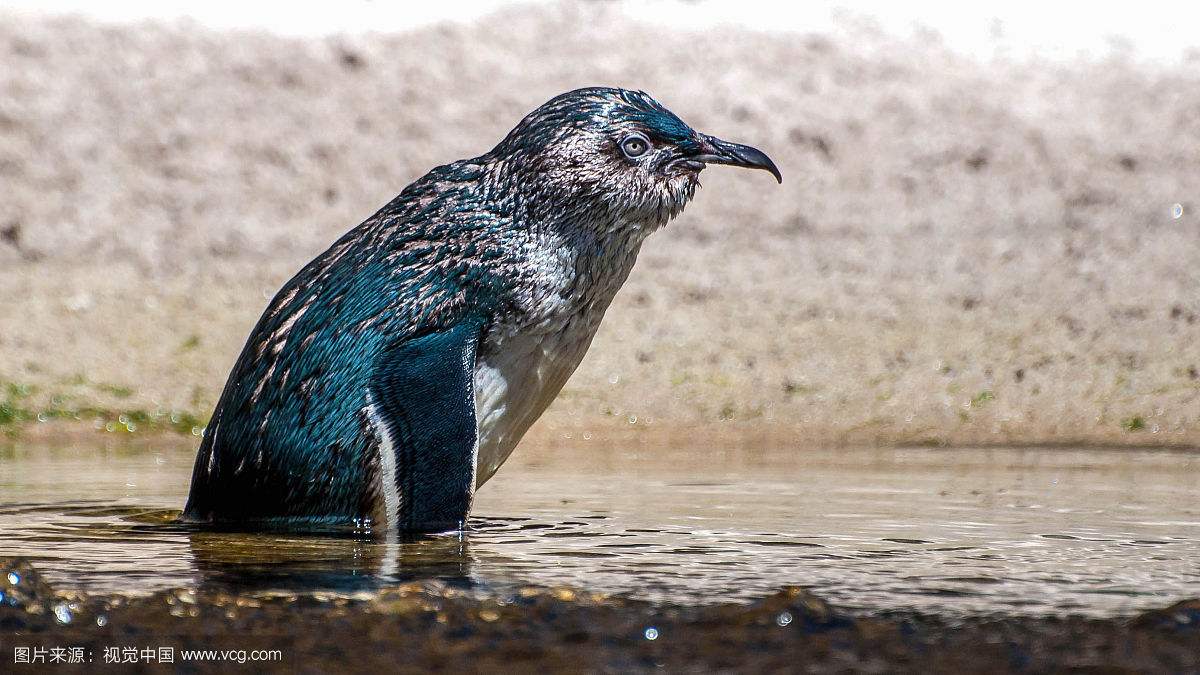 ��������С�����С����� ����̫Q����������Щ���ڲ�ͬ���ص�