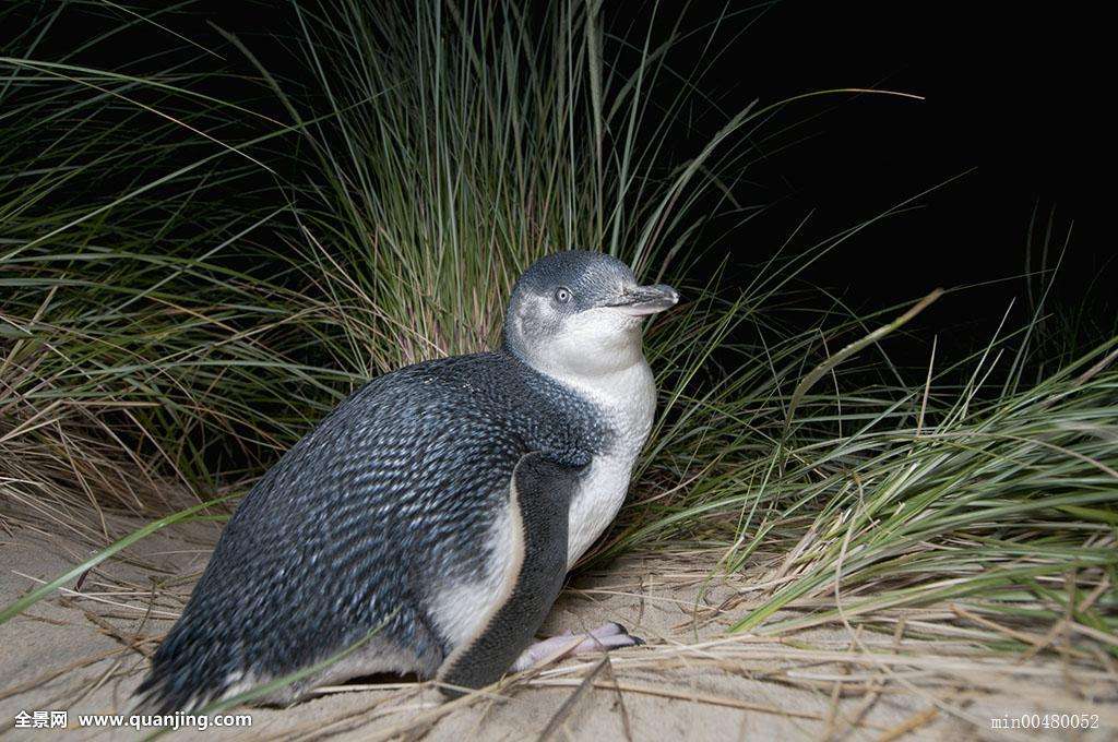 ��������С�����С����� ����̫Q����������Щ���ڲ�ͬ���ص�