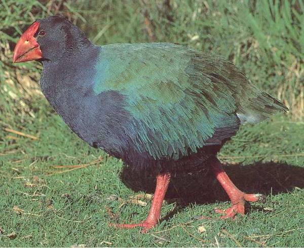 ���������ļ��������а� ��Щ���ļ�����������ƾɶֵ�����