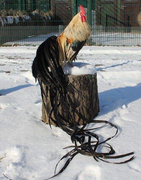 ���������ļ��������а� ��Щ���ļ�����������ƾɶֵ�����